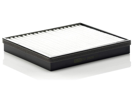 Filter, interior air CU 2520 Mann