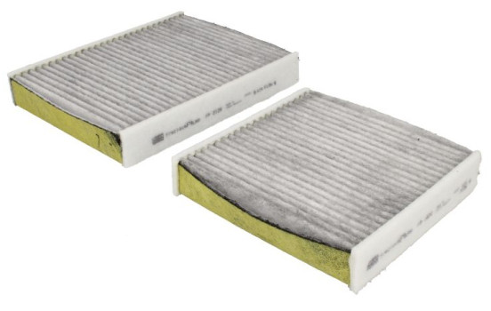 Filter, interior air Frecious Plus FP 21 000-2 Mann