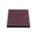 Filter, interior air HC-8206X AMC Filter
