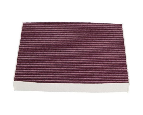 Filter, interior air HC-8213X AMC Filter