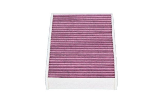 Filter, interior air NC-2025X AMC Filter