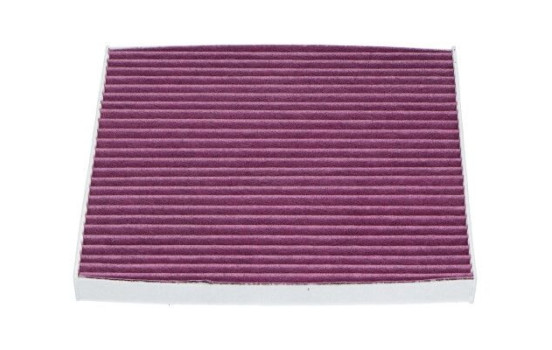 Filter, interior air NC-2028X AMC Filter
