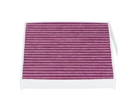 Filter, interior air NC-2043X AMC Filter