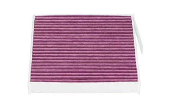 Filter, interior air NC-2043X AMC Filter