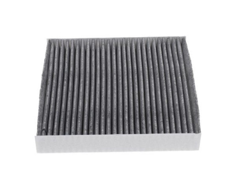 Filter, interior air NC-2057C AMC Filter