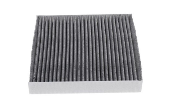 Filter, interior air NC-2057C AMC Filter