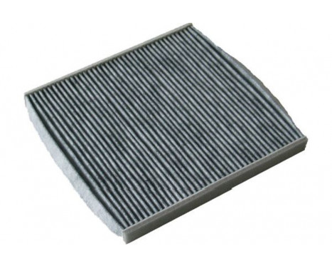 Filter, interior air TC-1003C AMC Filter