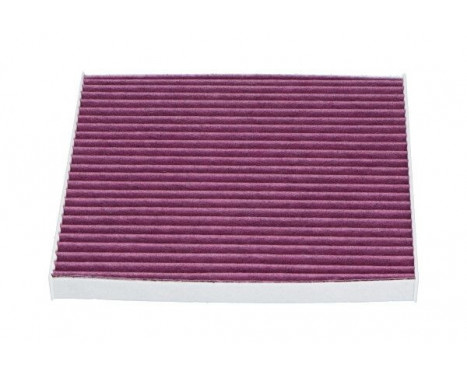 Filter, interior air TC-1011X AMC Filter