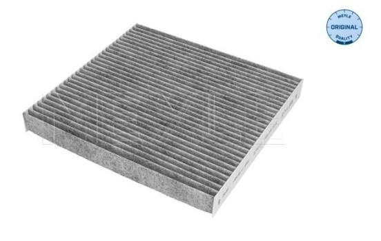 Interior filter 31-12 320 0012 Meyle