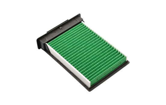 Interior filter Carbon+