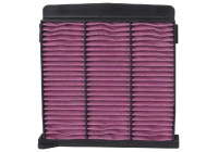 Interior filter DVF5051 K&N
