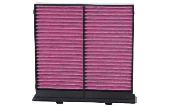 Interior filter DVF5058 K&N