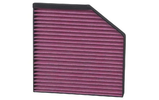 Interior filter DVF5081 K&N