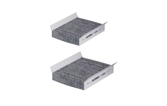 Interior filter K 1105A-2x Filtron