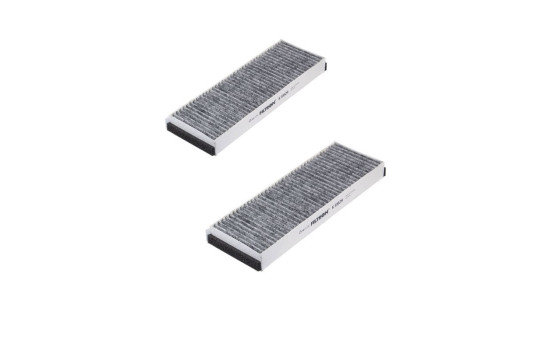Interior filter K 1162A-2x Filtron