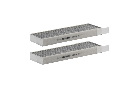 Interior filter K 1227A-2x Filtron