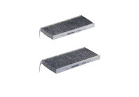 Interior filter K 1248A-2x Filtron