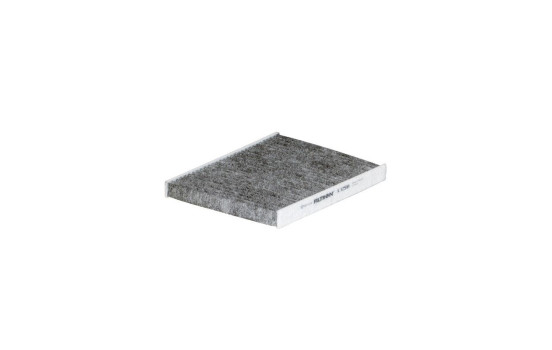 Interior filter K 1251A Filtron