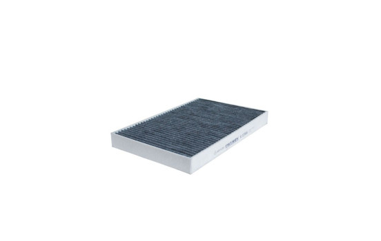 Interior filter K 1256A Filtron