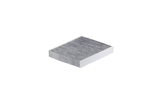 Interior filter K 1369A Filtron