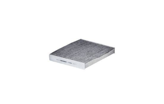 Interior filter K 1418A Filtron