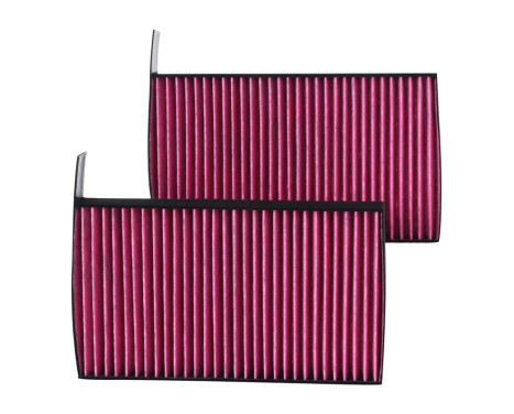 K&N Premium Single-Use Cabin Air Filter (2 pcs) for Tesla various models (DVF5079) K&N