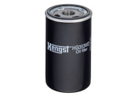 Filter, hydraulics