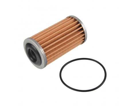 Hydraulic Filter, automatic transmission ADN12141 Blue Print