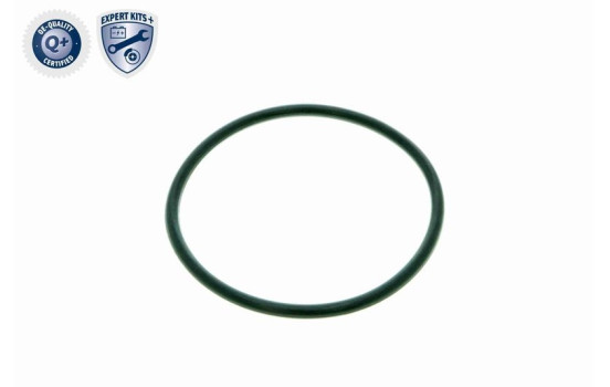 Hydraulic Filter, automatic transmission EXPERT KITS + V10-0440-1 VAICO