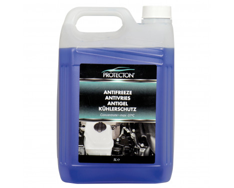 Coolant Protecton G12 -37°C 5L