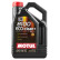 Motor oil Motul 8100 Ecoclean+ 5W30 5L, Thumbnail 2