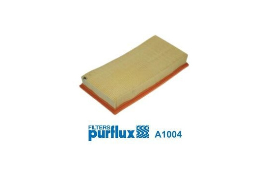 Air Filter A1004 Purflux