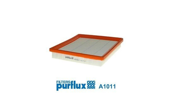 Air Filter A1011 Purflux
