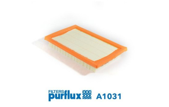 Air Filter A1031 Purflux
