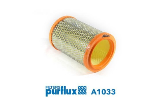 Air Filter A1033 Purflux