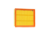 Air Filter A1036 Purflux