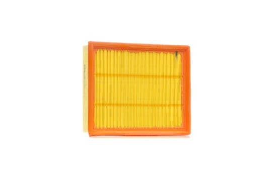 Air Filter A1036 Purflux