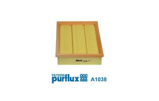 Air Filter A1038 Purflux