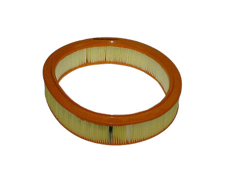 Air Filter A1058 Purflux
