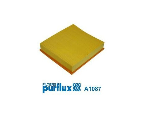 Air Filter A1087 Purflux