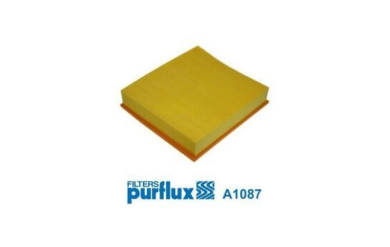 Air Filter A1087 Purflux