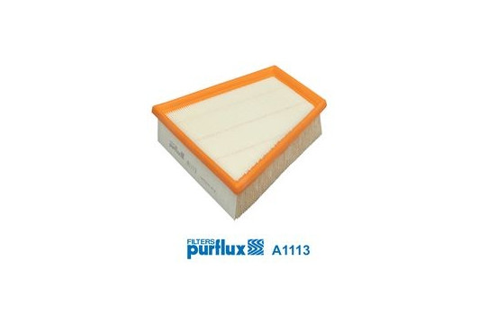 Air Filter A1113 Purflux