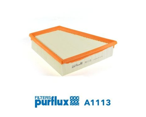 Air Filter A1113 Purflux