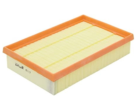 Air Filter A1117 Purflux