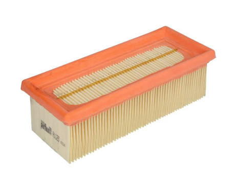 Air Filter A1123 Purflux