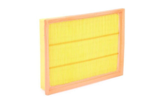 Air Filter A1130 Purflux