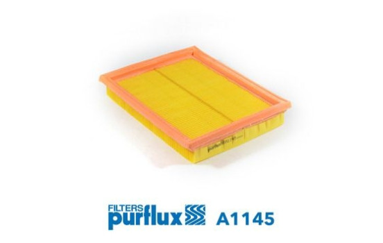 Air Filter A1145 Purflux
