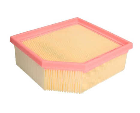 Air Filter A1147 Purflux