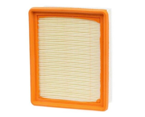 Air Filter A1159 Purflux