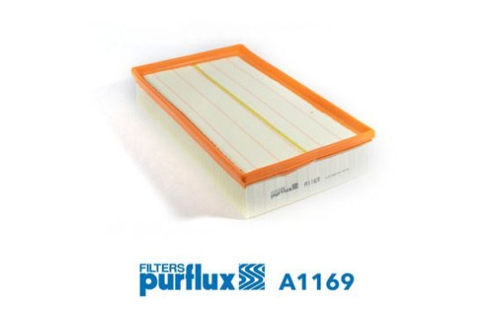 Air Filter A1169 Purflux